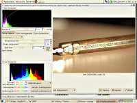 Image RAW avec UFRaw sous The Gimp
